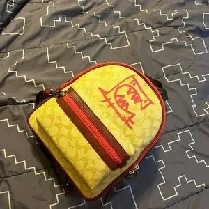 Coach | Bags | Coach 0 Ori Vale Med Charlie Backpack  display picture 2